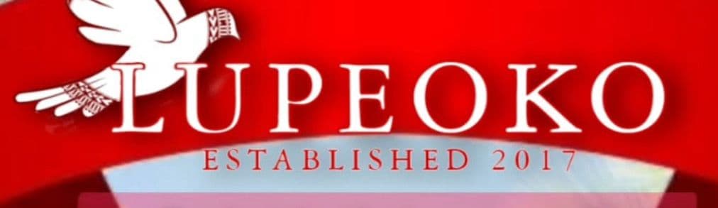 Lupeoko Tongan Arts Logo